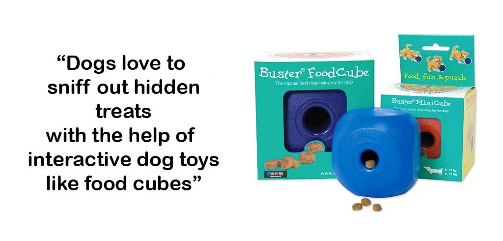 Food cubes can help dogs stimulate their brain and get a rewarding treat
