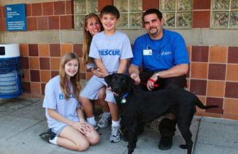 The Incredible Journey of Sapphire the Dog Saphire the dog gets a new home