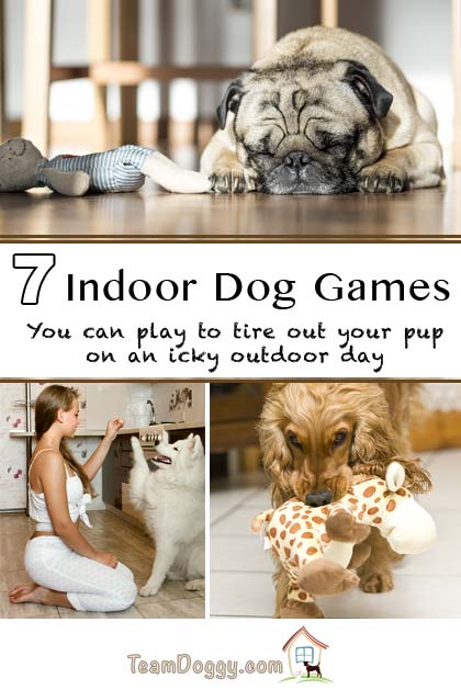 7 Indoor dog games to exercise an active dog #doggames #newpuppy #dogtraining