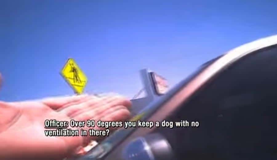 Officer scolds woman for leaving her dog in a hot car