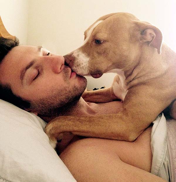 Pit bull gets a little frisky in bed