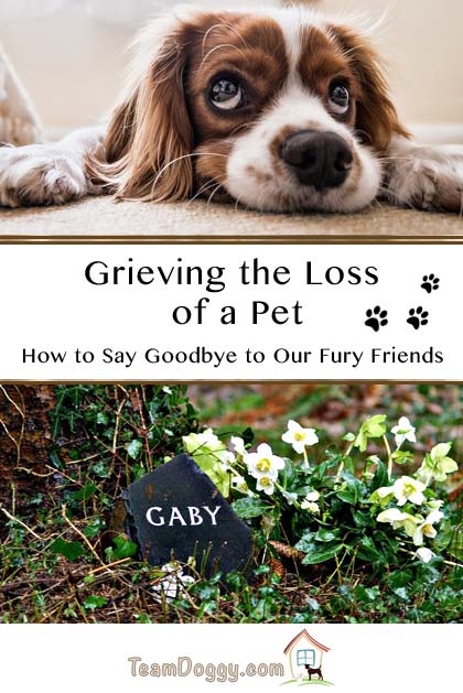 Grieving the loss of a pet dog, cat or other lovable friend takes time. These tips can help you get through the tough times. #dogloss #petloss