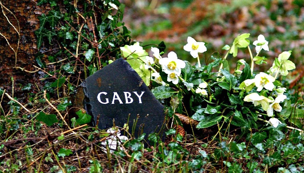 Pet memorial with flowers and a named stone