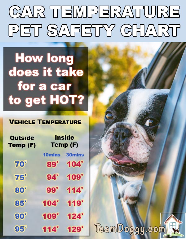 pet safety chart for car temperatures