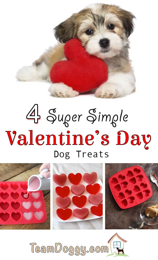 4 Simple Valentine's Day dog treats you can make to show your dog you love them #dogtreats #valentinesday #diy