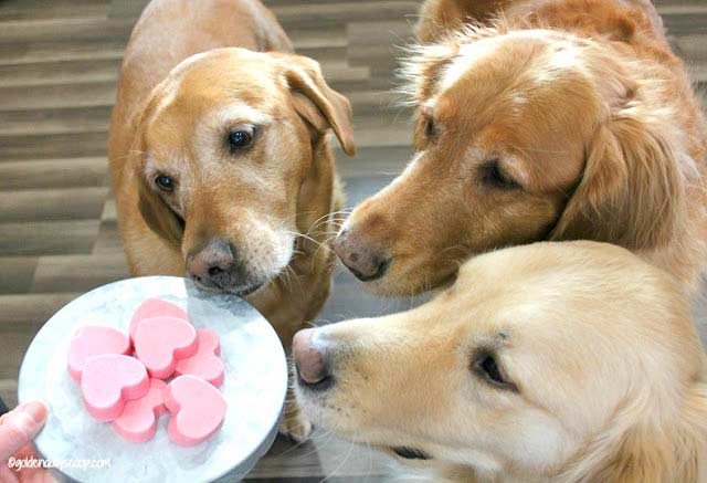 Easy Valentine's Day dog treats you can make at home #dogtreats #naturaldogtreat