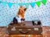 Dogs With The Most Adorable Jobs In The World