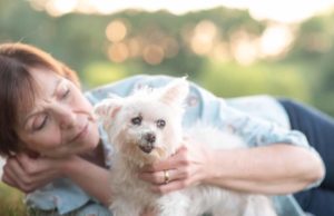 Brain Tumor Hits A Senior Dog But She Courageously Battles With It