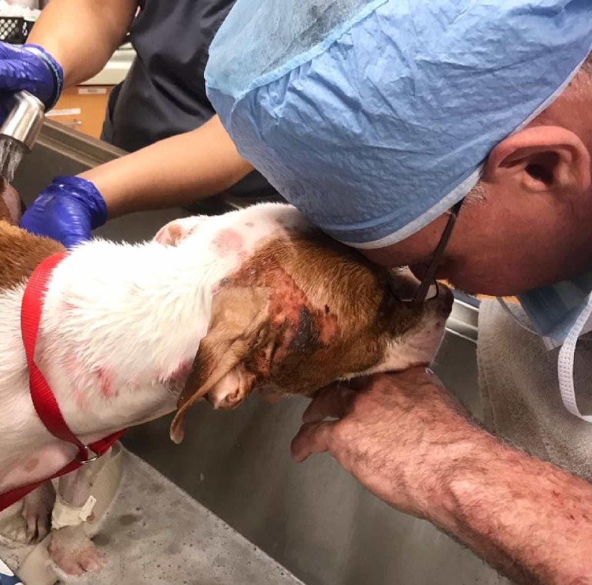 Puppy saves a puppy from fire damage