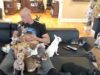 Bodybuilder Who Used To Dislike Small Dogs Falls in Love with a Chihuahua Strong man adopts a house full of little dogs
