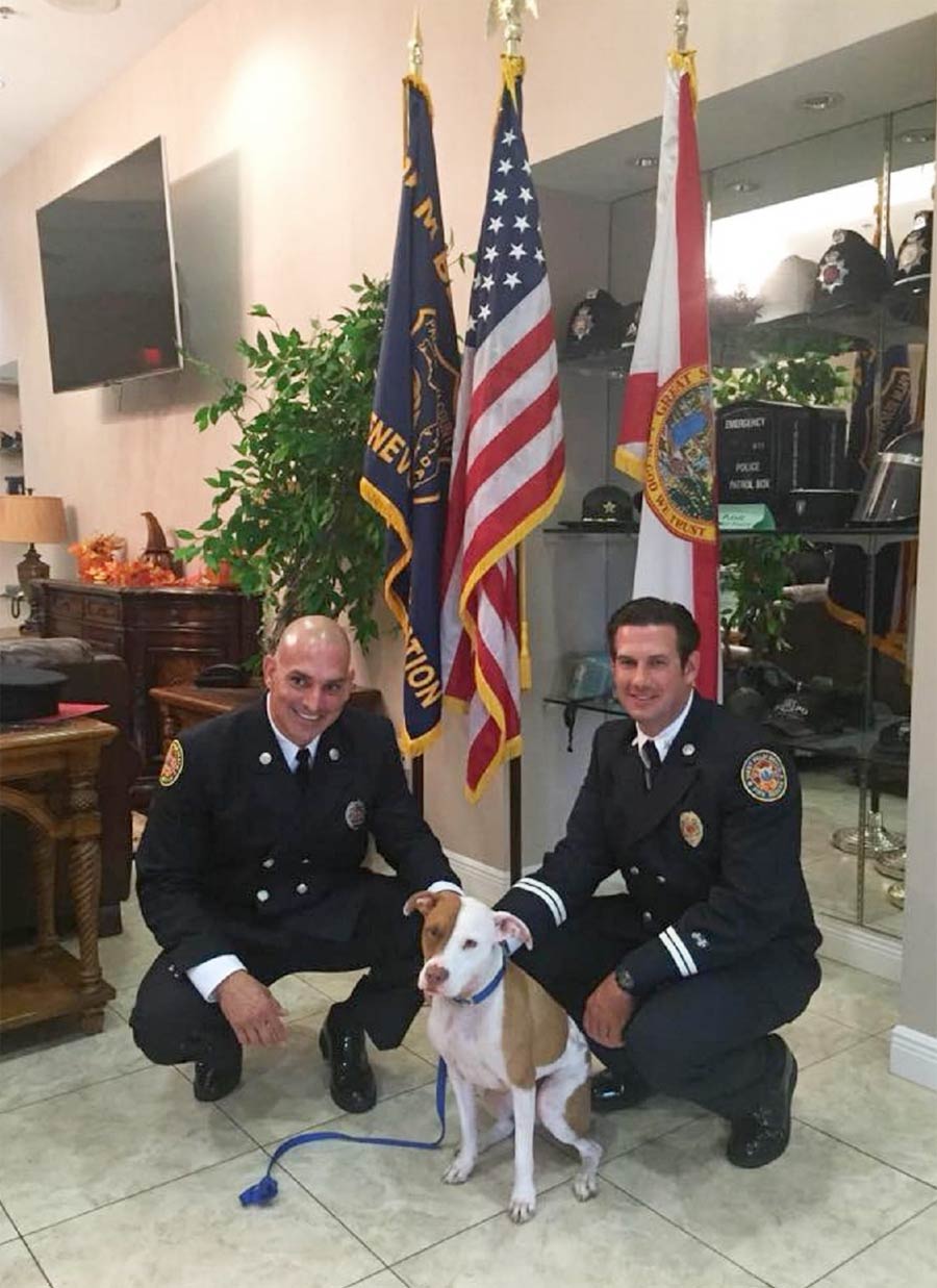 Two firemen save puppy and bring him to rescue center