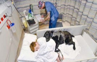 Loyal Companion Stays By His Human Brother’s Side Loyal Companion Stays By His Human Brother's Side