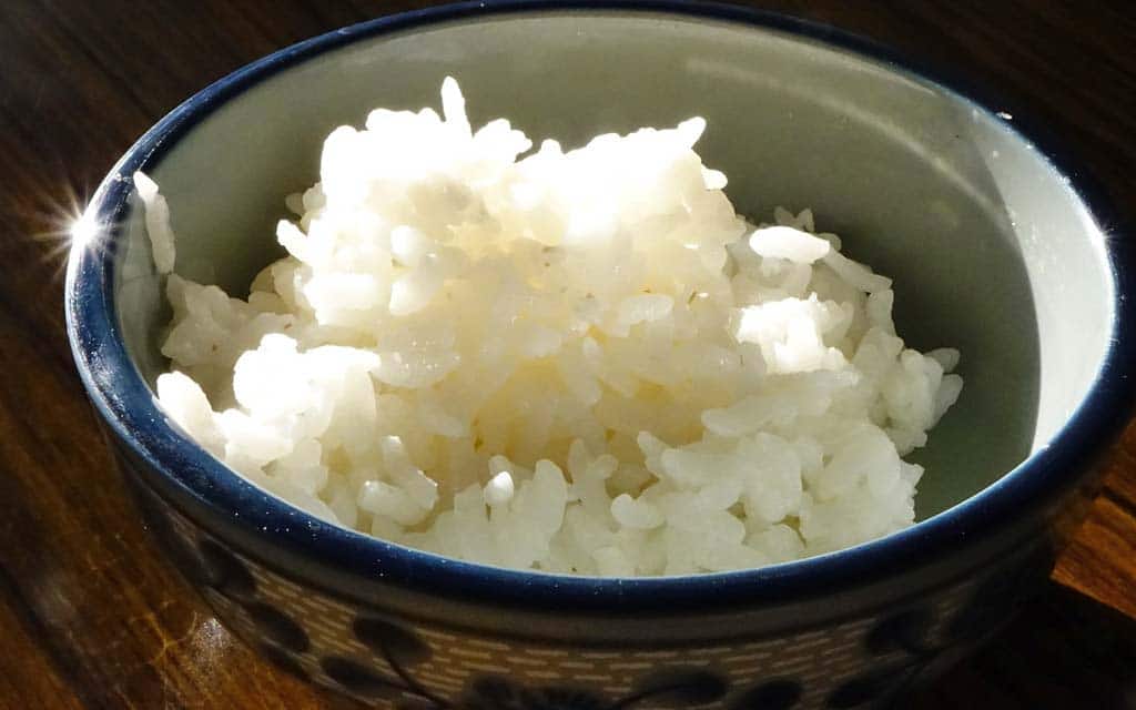 Plain white rice is good for upset doggy tummies