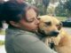 Scar-Ridden Dog Can’t Believe She Is Getting Rescued Pregnant dog rescued and finds a loving home