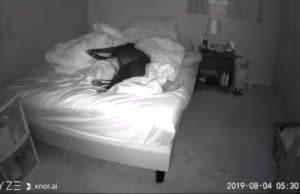 Fur Mom Sets Up Security Camera To See Why She Has Trouble Sleeping Security camera set up to record sleep problems with dog