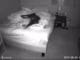 Fur Mom Sets Up Security Camera To See Why She Has Trouble Sleeping Security camera set up to record sleep problems with dog