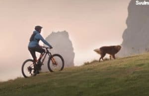 A Professional Mountain Biker Found The Perfect Way To Bond With His Dog Mountain biking with his best friend