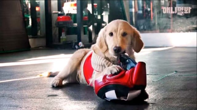 Namsoon works out at a boxing gym to help anxiety