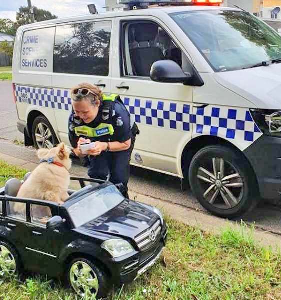 Buddy gets a ticket for driving too fast