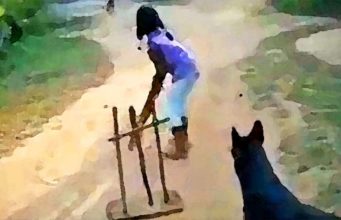 Excited Dog Steals the Show In a Game of Cricket This dog loves to play cricket with his friends