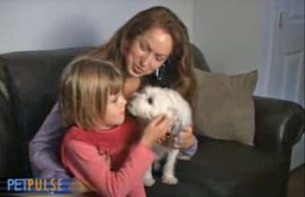Family Adopts Rescue Dog Who Becomes The Family’s Therapy Dog Maya and her family meet her new therapy dog