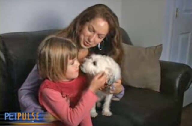 Maya and her family meet her new therapy dog