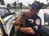 Puppy Adopted By Police Officer In Florida Before Hurricane Dorian Hit Police Officer Saves Puppy from Hurricane Dorian