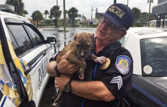 Puppy Adopted By Police Officer In Florida Before Hurricane Dorian Hit Police Officer Saves Puppy from Hurricane Dorian