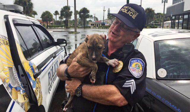 Police Officer Saves Puppy from Hurricane Dorian