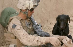 Soldier Rescued A Dog on Tour Watch Their Heartwarming Reunion Soldier Rescues Dog While on Duty Reunites With Him at Home