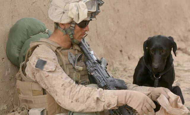 Soldier Rescues Dog While on Duty Reunites With Him at Home