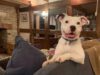 Snoop The Dog Finally Got His Forever Home