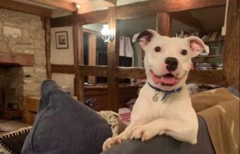 Snoop The Dog Finally Got His Forever Home
