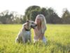 Would You Sign Up For Heartbreak if it Guaranteed Unconditional Love? A Dog's Unconditional Love Lasts a Lifetime