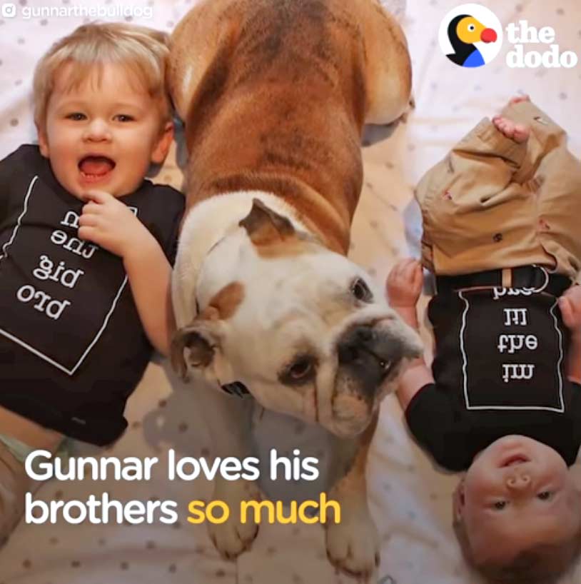 Gunnar Loves His Brothers So Much