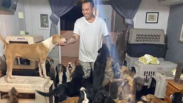 Man rescues 300 stray dogs from a hurricane
