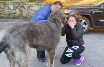 Woman’s Reaction After Reuniting With The Dog She Thought Was Lost Forever Woman’s Reaction After Reuniting With The Dog She Thought Was Lost Forever