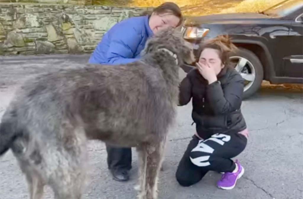 Woman’s Reaction After Reuniting With The Dog She Thought Was Lost Forever