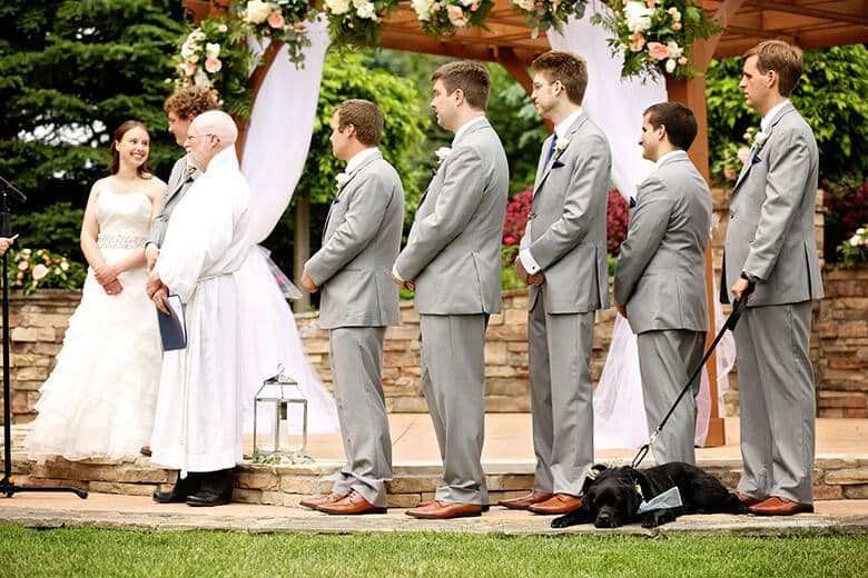 daisy has her big day as a ring bearer