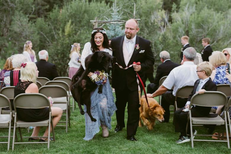 80 pound dog carried during wedding ceremony