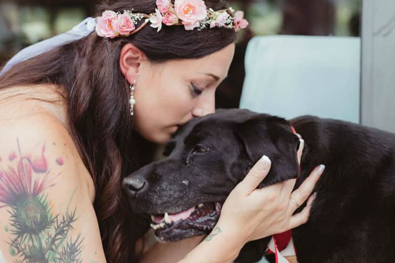 sick dog gets his last wish to see his mommy get married