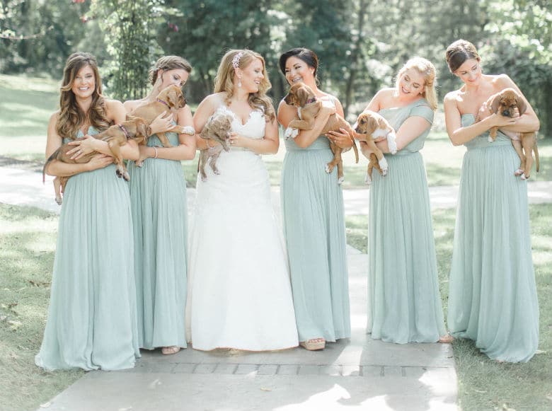 bridesmaids hold puppies in place of the usual bouquet of flowers