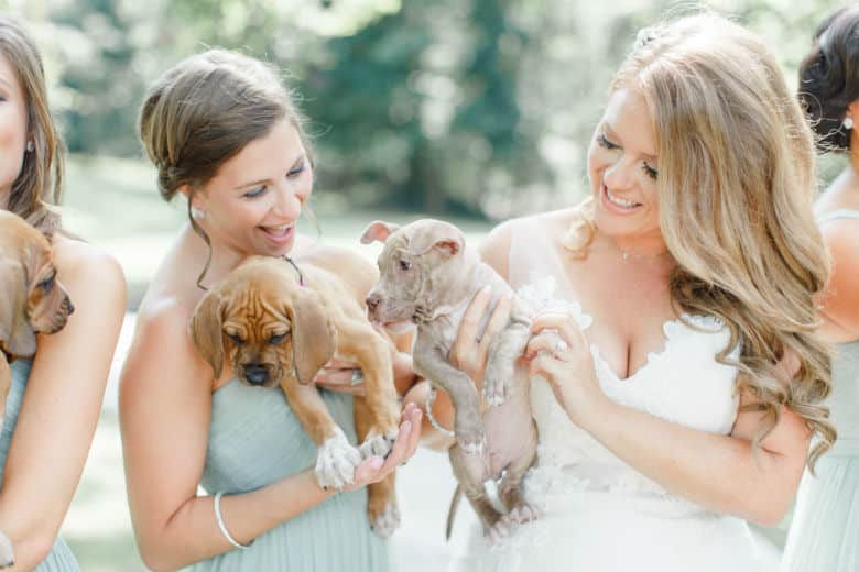 bridesmaides hold rescue pups during wedding