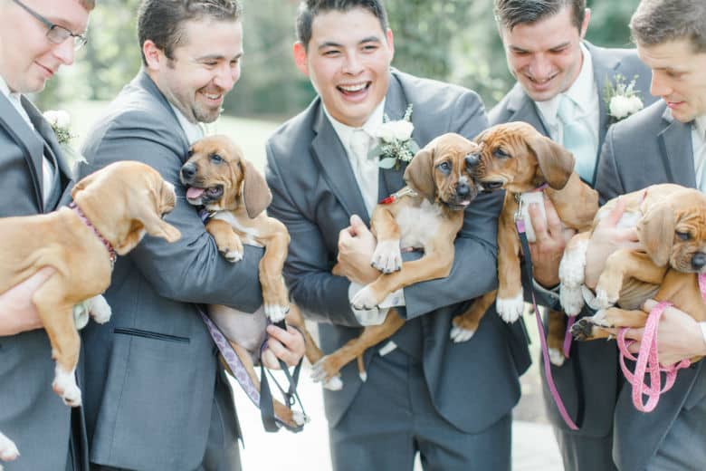 groomsmen hold rescue pups during the wedding photo shoot