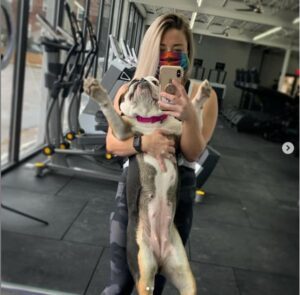 its gym day with gus the bulldog
