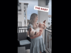 Milton Shows Off the Many Ways to Hold a Corgi Puppy, And They’re So On Point