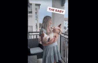 Milton Shows Off the Many Ways to Hold a Corgi Puppy, And They’re So On Point