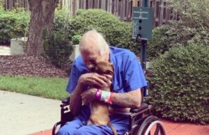 Smart Little Chihuahua Saves 86-Year-Old Navy Veteran Who Suffered A Stroke