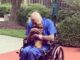 Smart Little Chihuahua Saves 86-Year-Old Navy Veteran Who Suffered A Stroke