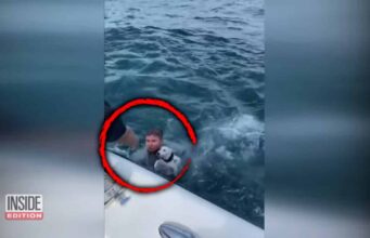 Good Samaritans Save Doggo Drowning Off The Coast Of Florida Zuko the dog rescued after falling in the water